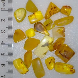 Baltic Amber honey color polished semi-matte loose gemstones bundle lot 50.6ct - Picture 1 of 6