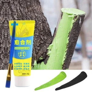 100g Plant Healing Sealant Bonsai Wound Healing Agent Tree Pruning Paste Healing - Picture 1 of 14