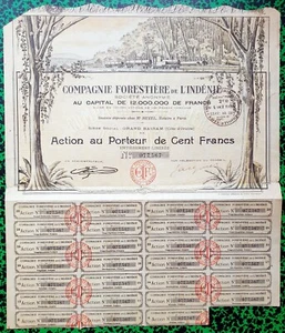 Côte d'Ivoire - Indénié - Superbe Décor Exploitation Forestière Coloniale F 1928 - Picture 1 of 1