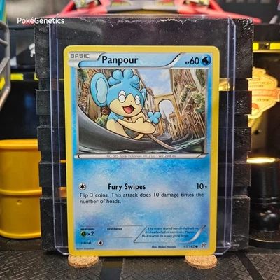 Panpour Breakthrough Pokémon TCG 41/162 XY Common - Image 1 of 4