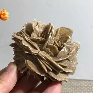 Healing of stone mineral clusters in selenite samples of desert rose 150g c10 - Picture 1 of 10