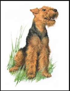 WELSH TERRIER SEATED DOG LOVELY DOG ART PRINT POSTER - Picture 1 of 1