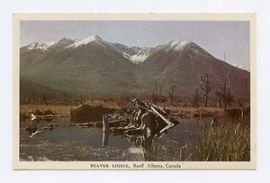 BEAVER LODGE, Banff, Alberta, Canada Color POSTCARD - Picture 1 of 2