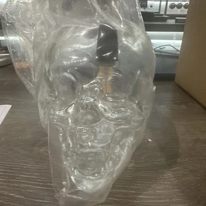 Glass Skull Light - Picture 1 of 5