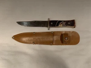 Vintage Colonial Prov USA 10" Hunting Knife Fixed Blade -Yellowstone Park Sheath - Picture 1 of 11