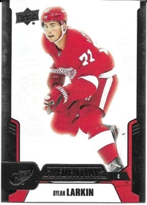 Credenciales UD Dylan Larkin #11-Red Wings 19-20 2019-20 - Imagen 1 de 1