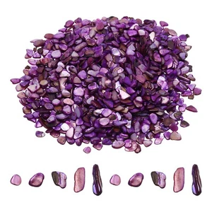 1000g Crushed Shells Irregular Natural Mosaic Sea Shell Fragments Purple - Picture 1 of 5