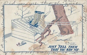 Postcard Just Tell Them That You Saw Me Comic Undivided Back Posted 1906 - Picture 1 of 2