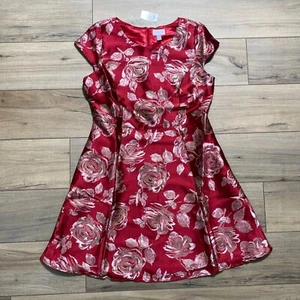 Childrens Place Womens Mommy & Me Metallic Rose Jacquard Floral Dress Size 14 - Picture 1 of 14