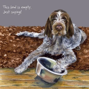 Italian Spinone Bowl Little Dog Laughed Greeting Card Blank Inside Any Occasion - Picture 1 of 2