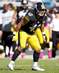 Troy Polamalu #43 Pittsburgh Steelers NFL 8"X10" Glossy Photo Print - Picture 1 of 1