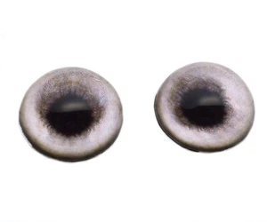 Pair High Dome Gray Weimaraner Dog Inspired Half Sphere Glass Eyes Taxidermy - Picture 1 of 6