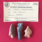 6619 Authentic Prehistoric Arrowhead Artifact Native American Indian Arkansas