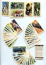 1964 Brooke Bond - African Animals Tea Cards COMPLETE SET (48/48) VG-EX (140174)