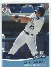 2017 West Michigan Whitecaps (Class A-Detroit Tigers) Cam Gibson