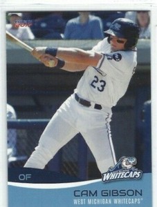 2017 West Michigan Whitecaps (Class A-Detroit Tigers) Cam Gibson