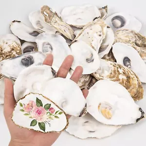 20PCS Flat Oyster Shells 3"-4" Medium Oyster Shells for Crafts Natural Oyster... - Picture 1 of 6