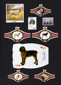 JUEGO ITALIANO DE TARJETAS Y BANDAS Y SELLOS COLECCIONABLES PARA PERROS - Imagen 1 de 1