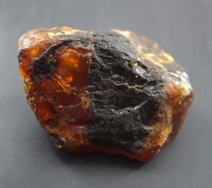 200 Ct Natural Honey Baltic Amber Untreated Specimen Certified Rough Gemstone - Picture 1 of 8