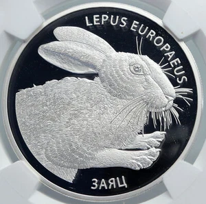 2014 BELARUS Hares Animals RABBITS Pets Proof Silver 20 Rouble Coin NGC i89092 - Picture 1 of 5