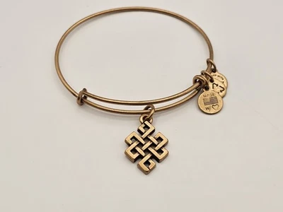 Alex and Ani Gold  " Endless Knot " Charm Bangle Bracelet ✨️  - Image 1 of 4
