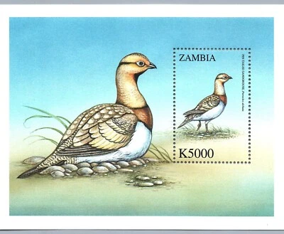 Zambia Birds Pin-Tailed Sandgrouse on Souvenir Sheet MINT NEVER Hinged 5000 K - Image 1 of 2