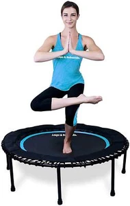Leaps and ReBounds Trampoline for Adults And Kids - Rebounder with Online Wor... - Picture 1 of 7