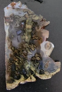 Plume Agate Oregon - Picture 1 of 9