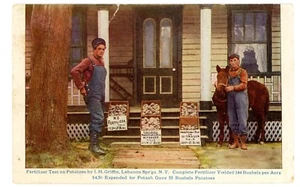 Lebanon Springs NY -POTATO FERTILIZER ADVERTISEMENT- Postcard Ad/Farming - Picture 1 of 2