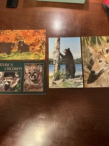 Bears And Other Creatures Postcards - Picture 1 of 10