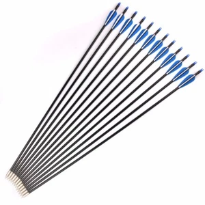 12PCS 30'' Fiberglass Hunting Arrows Blades SP500 Outdoor Shooting Training - Picture 1 of 8