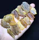 33g Natural Burmese Amber Cretaceous fossil include ant insect N151