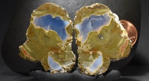 Blue Opal Thunder egg pair Lapidary specimen Gemstone Rough Richardson Ranch OR - Picture 1 of 11