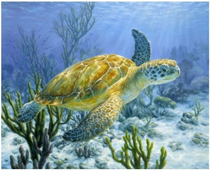 Ancient Mariner ~ Sea Turtle ~ David Textiles 36" Quilt Panel - Image 1 of 1