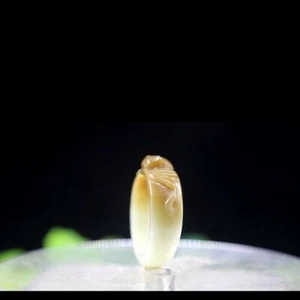 Crazy deals! Hand carved genuine green nephrite jade ring with monkey longevity - Picture 1 of 6