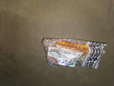 Conjunto de luz marcadora lateral/luz antiniebla derecha Maxzone 2003-2006 Hyundai Accent Foto 1 de 3