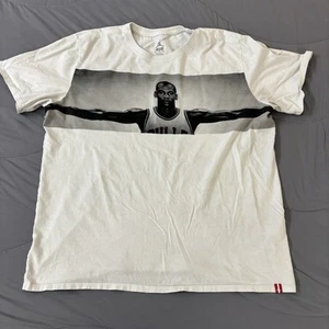 Jordan Air Jordan Wingspan Jumpman T Shirt Mens Size XL White- Fast Shipping - Picture 1 of 7