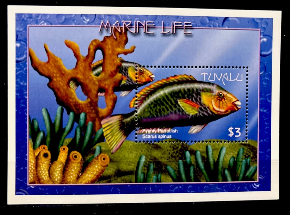 Tuvalu, pygmy parrotfish, S.C.#825  S.C.V.$4+   MNH  S/S of 1 issued in 2000 - Image 1 of 1