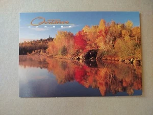 Ontario Herbstblätter Foto von Don Johnson 4,5"x6,75" unbenutzt - Bild 1 von 2