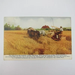 Postcard Gallatin Valley Montana Award Winning Oats Farming Farmer Antique 1915 - Picture 1 of 12
