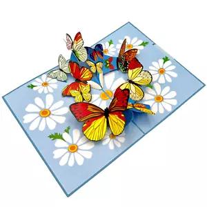Pop Up Grußkarte Schmetterling Garten Gänseblümchen Feldkarte, Frühlingskarte, Naturkarte - Bild 1 von 7