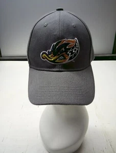 Akron Rubber Ducks Logo Ball Cap Adult Size Melonwear Gray Hat - Picture 1 of 3