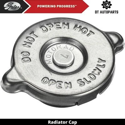 Portões de tampa de radiador 1981 Ford F-600 1980-1982 - Imagem 1 de 4