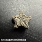 Crinoid star fossil - tidmoor point, dorset, oxford clay, jurassic period