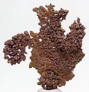 Native natürliche dendritische Kupferkristall Mineralprobe BISBEE ARIZONA - Bild 1 von 4