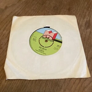 NAZARETH - 7" Vinyl - Holy Roller / Railroad Boy - 1975 - Mountain  - Bild 1 von 4