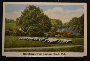 Zwei Postkartenansichten vom Indianerkopf Maryland MD 1920 - Bild 1 von 5