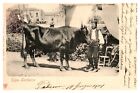 postcard Palermo Italian man poses with bull Bull RPPC 9010