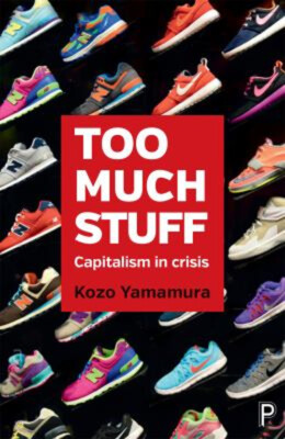 Too Much Stuff : Capitalism in Crisis Hardcov...