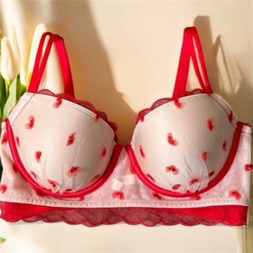 VICTORIA'S VICTORIA SECRET DREAM ANGELS LINED DEMI BRA 34DDD BEIGE NUDE RED